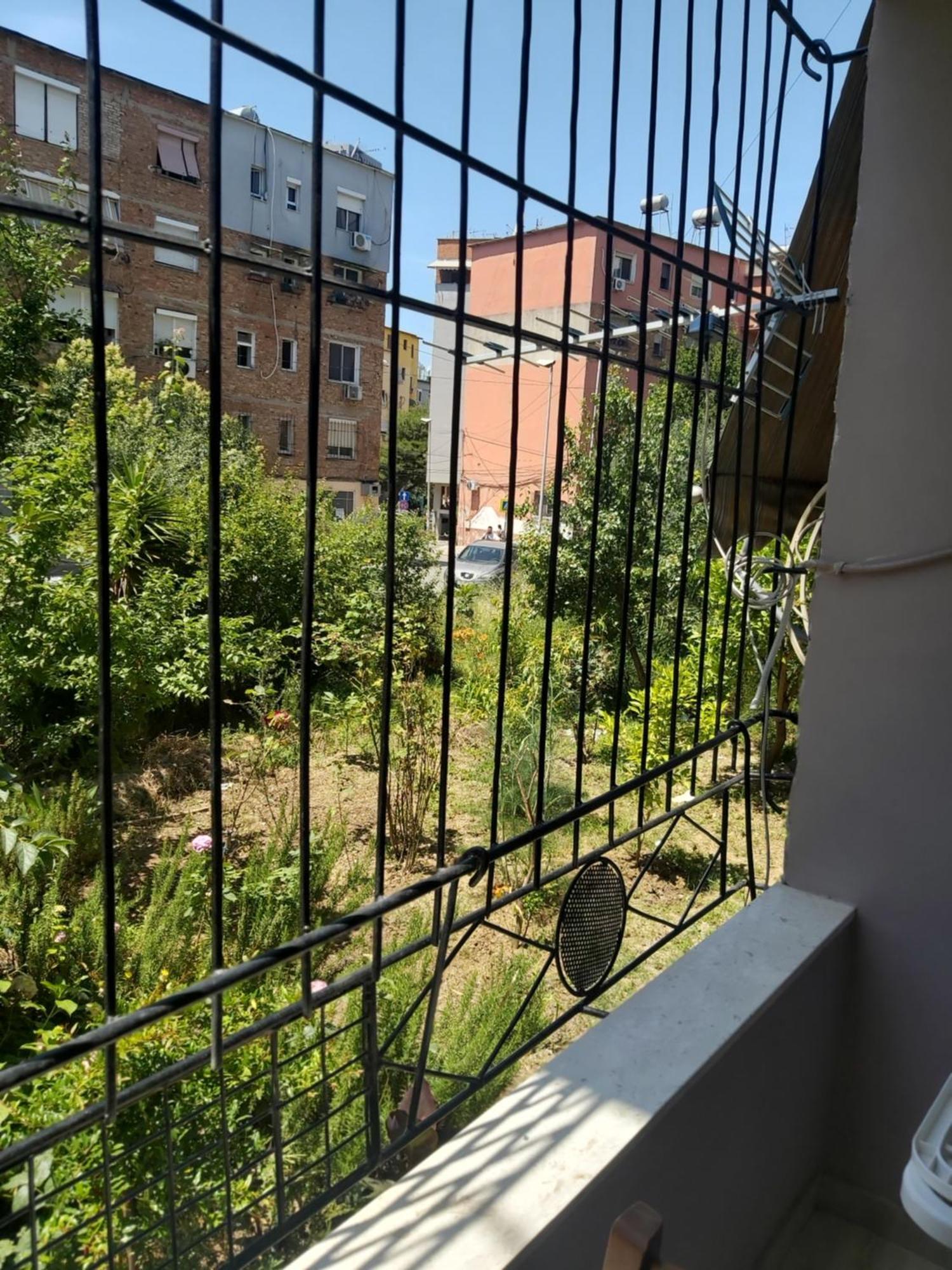 Gesapartment 티라나 외부 사진